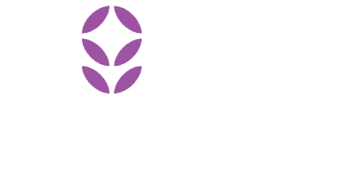 ناژین بیوتی